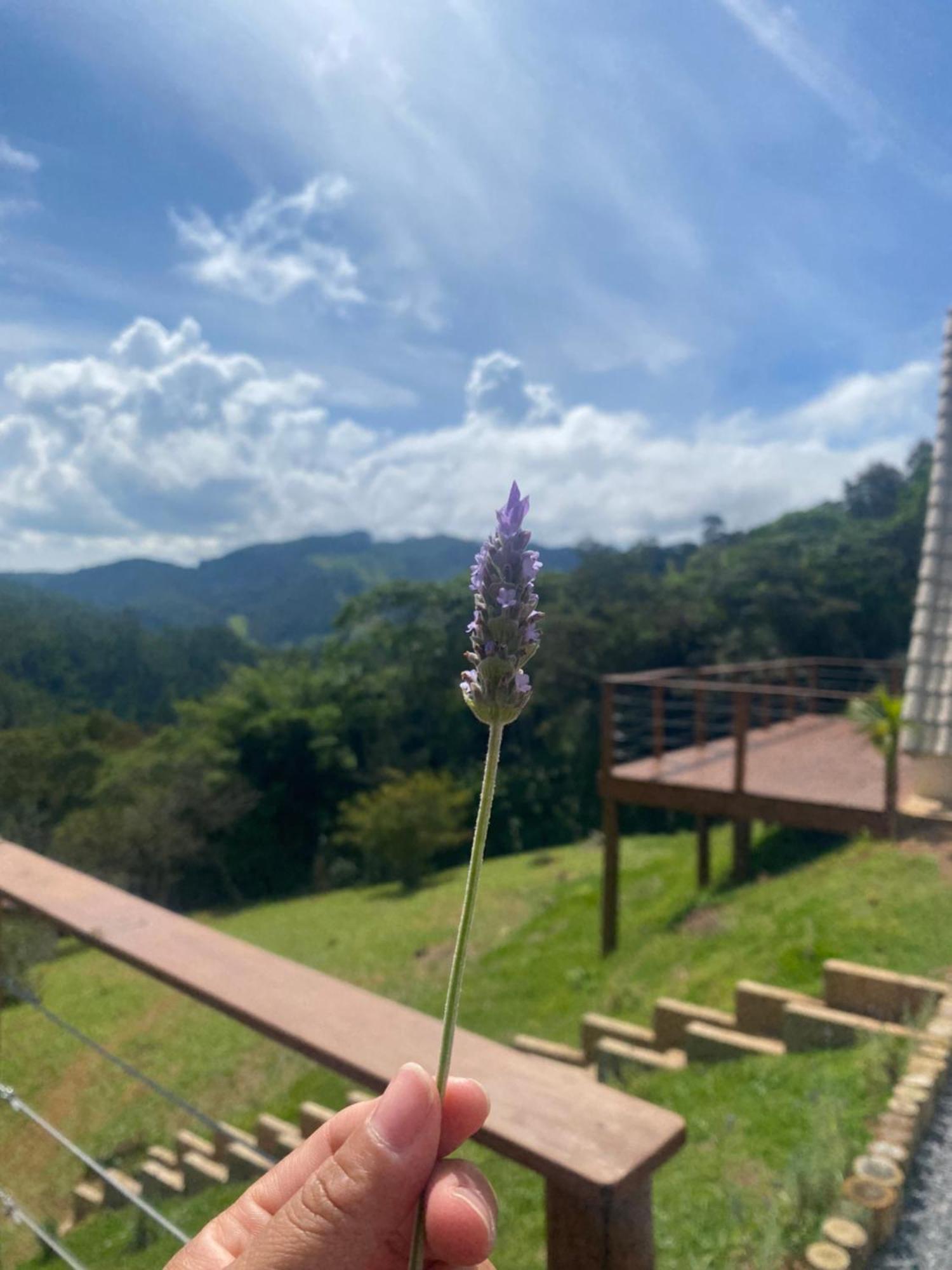 Chales Fazenda Floresta Das Araucarias Cunha Esterno foto