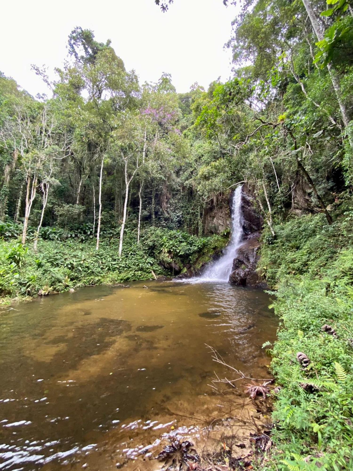 Chales Fazenda Floresta Das Araucarias Cunha Esterno foto