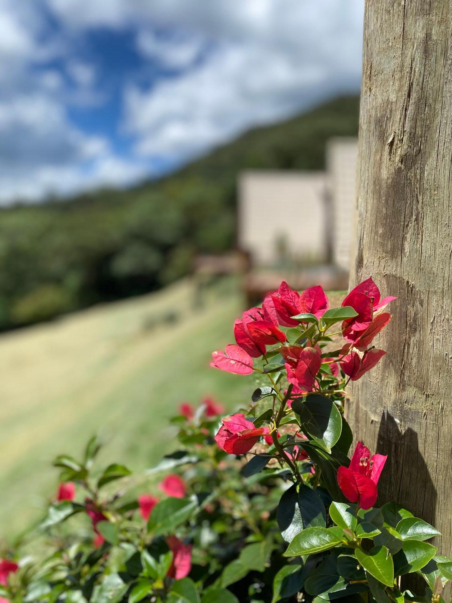 Chales Fazenda Floresta Das Araucarias Cunha Esterno foto