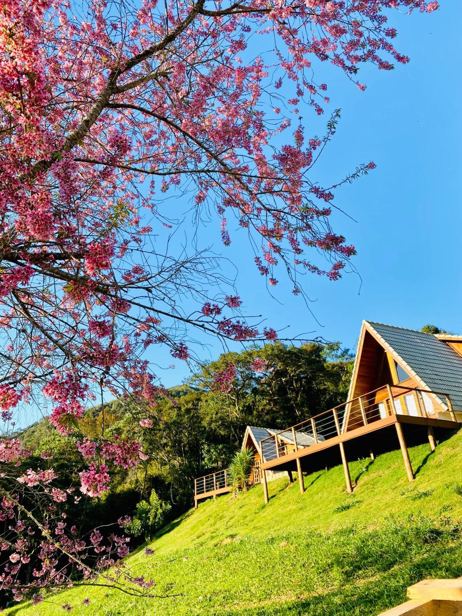 Chales Fazenda Floresta Das Araucarias Cunha Esterno foto