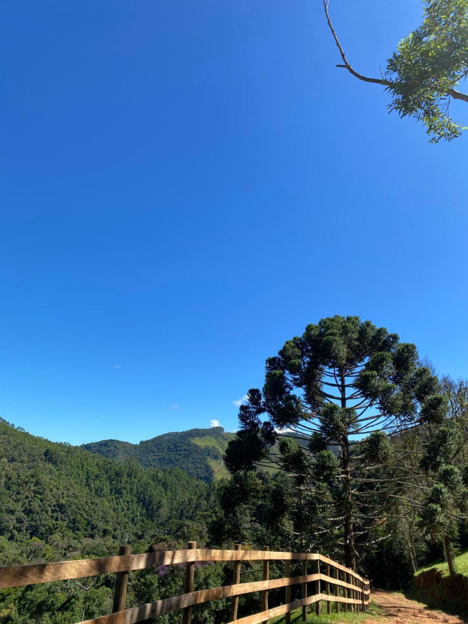 Chales Fazenda Floresta Das Araucarias Cunha Esterno foto