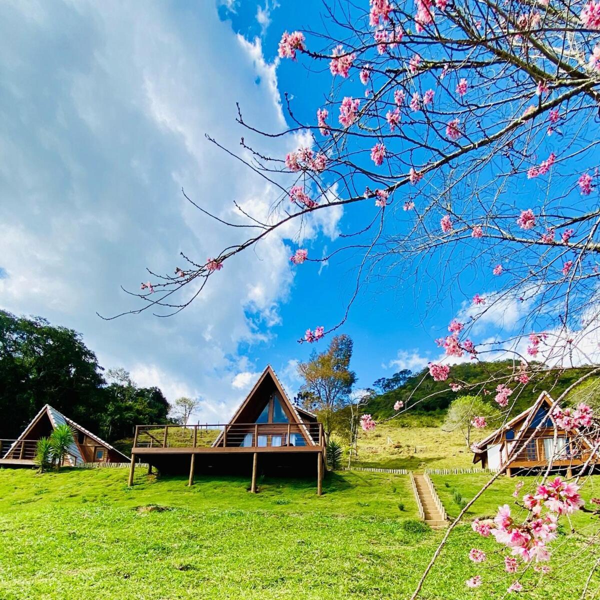 Chales Fazenda Floresta Das Araucarias Cunha Esterno foto